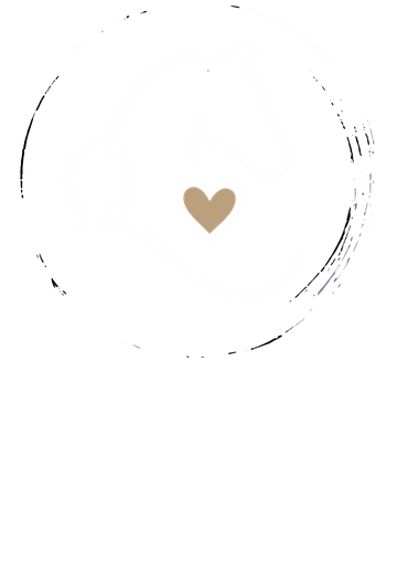 Equine Vet Life