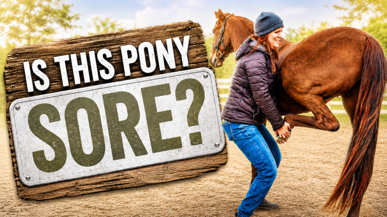 Is This Pony in Pain? What an Equine Vet Found…