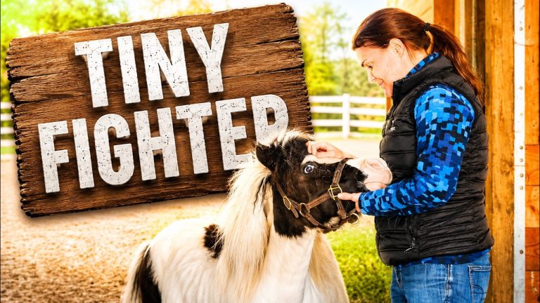 From Sepsis to Survival: A Special Farm Reunion